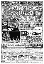 春を先取り！花咲く“房総”へ　いちご狩り食べ放題と千倉のお花畑